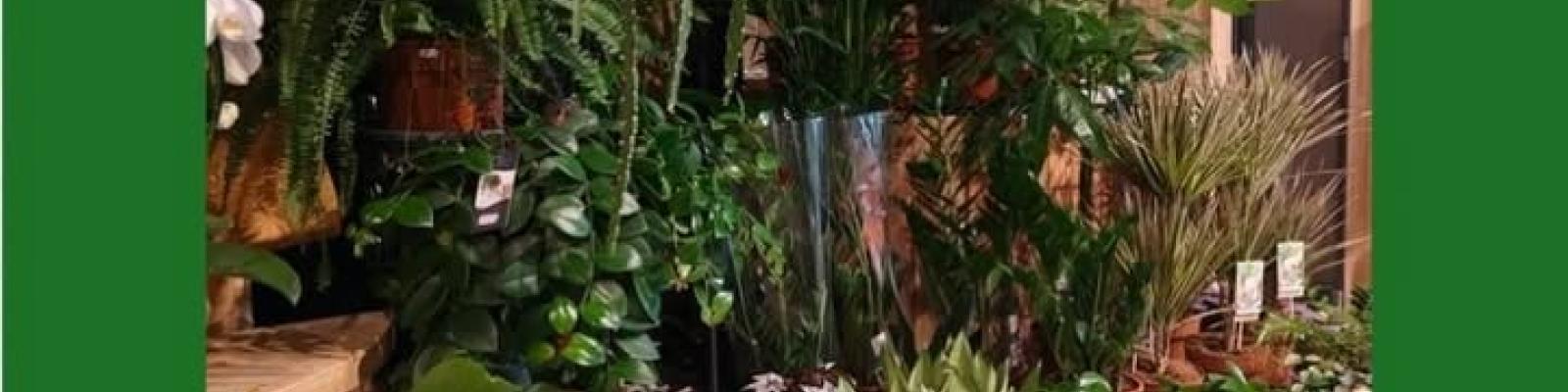 Nieuwsupdate 16 maart - 2026