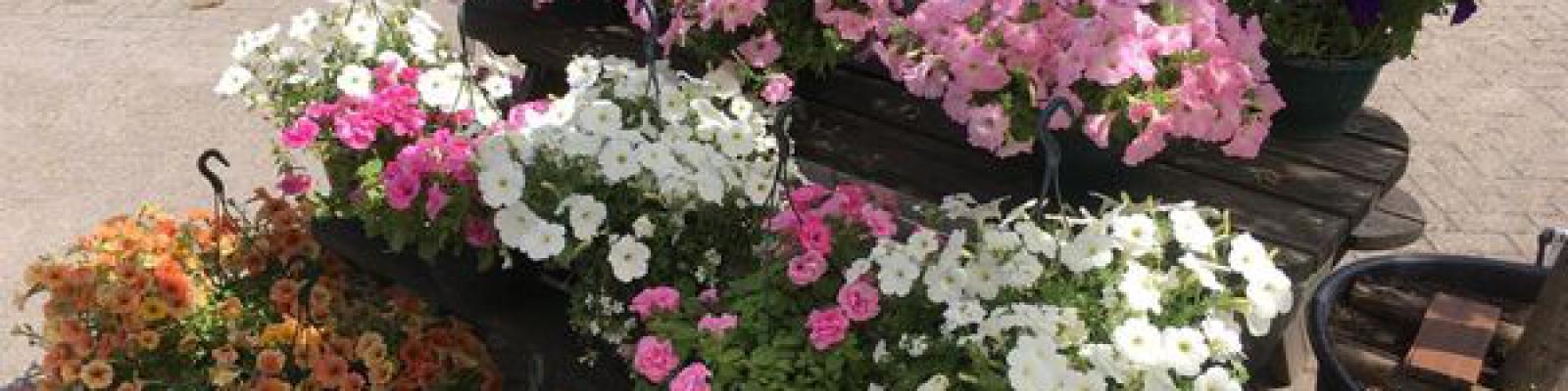 Super zomer aanbieding!