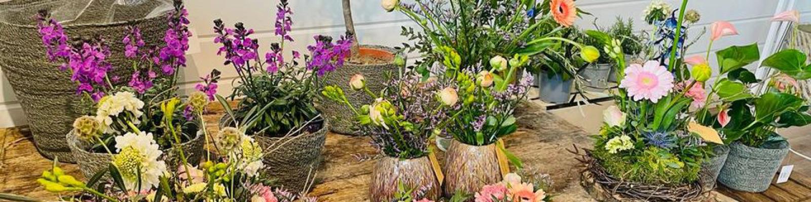 Nieuwsupdate  7 april - 2023