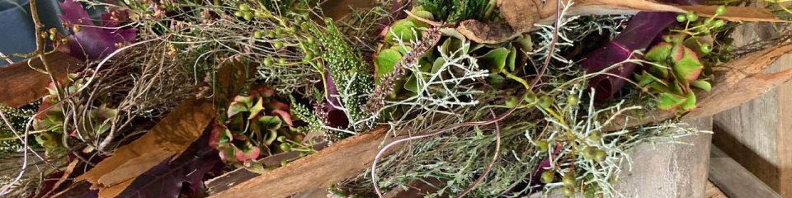 Nieuwsupdate  3 september - 2024