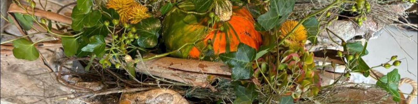 Nieuwsupdate  6 september - 2024