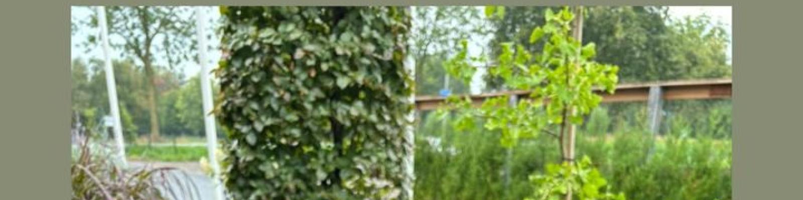 Nieuwsupdate 10 september - 2024