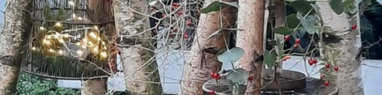 Nieuwsupdate 15 november - 2024