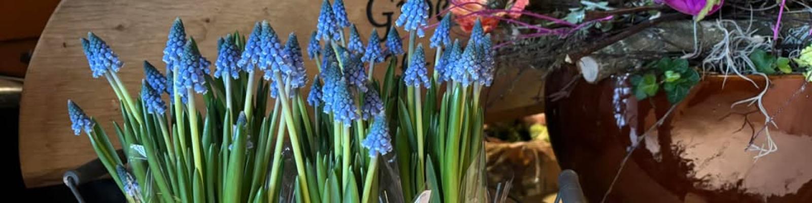 Nieuwsupdate 24 januari - 2025