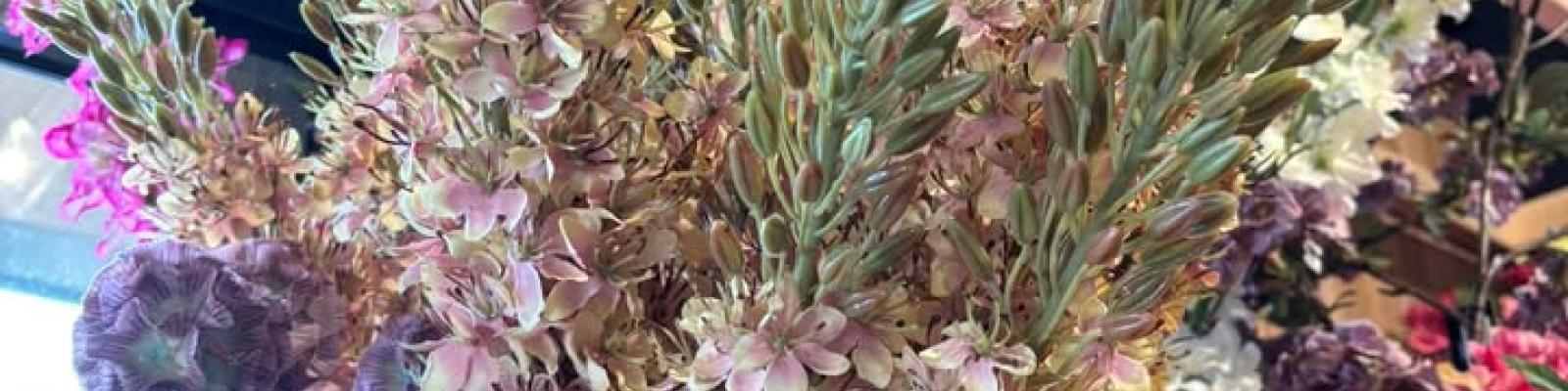 Nieuwsupdate  6 februari - 2025