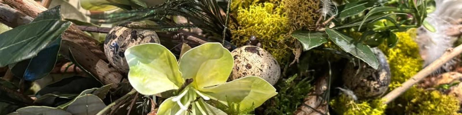 Nieuwsupdate 22 februari - 2025