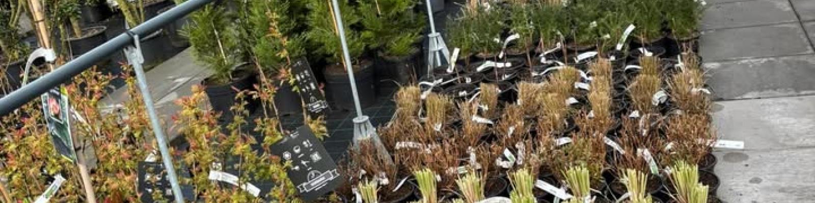 Nieuwsupdate 13 maart - 2025