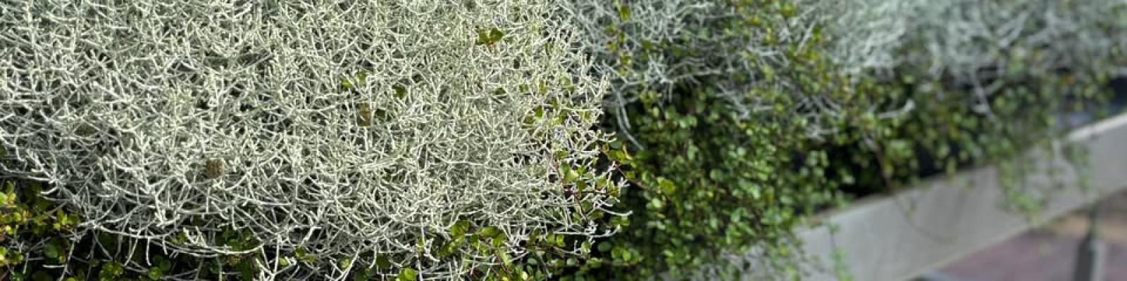 Nieuwsupdate  4 september - 2025