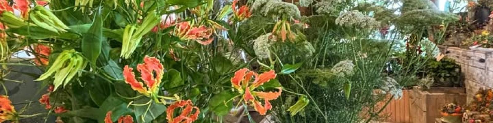 Nieuwsupdate 17 september - 2025