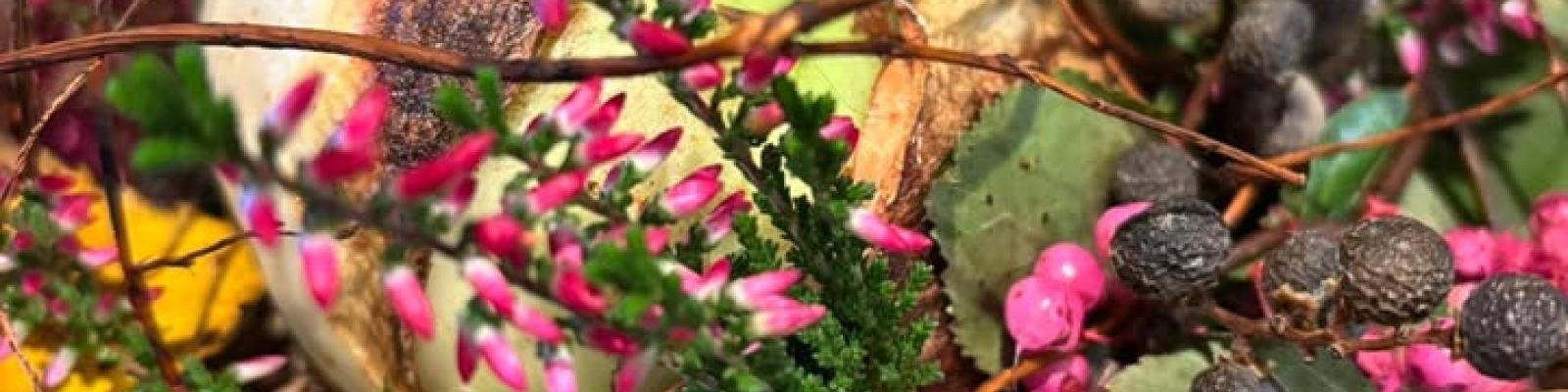 Nieuwsupdate 17 oktober - 2025