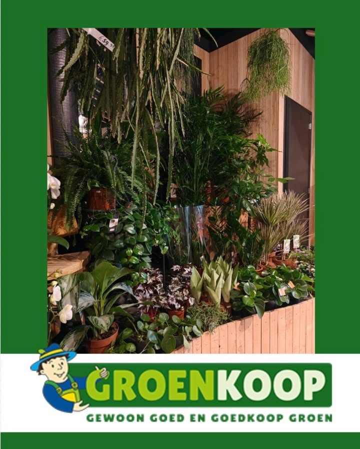 Nieuwsupdate 16 maart - 2026